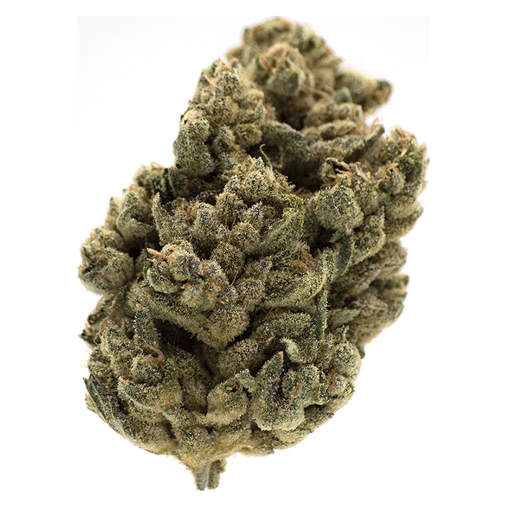 MTL Cannabis - Jungl' Cake - Sativa - 2.79% TERPS!