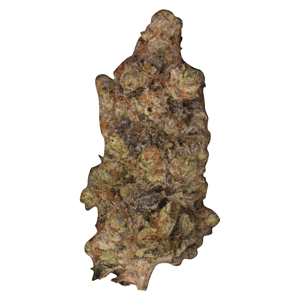 Ripped - Zooted - Hybrid