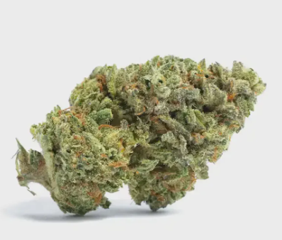 Flower Case | Pre-Packed