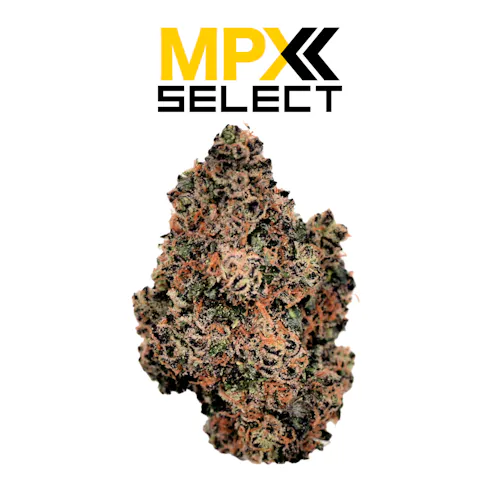 Hash Burger | Flower |