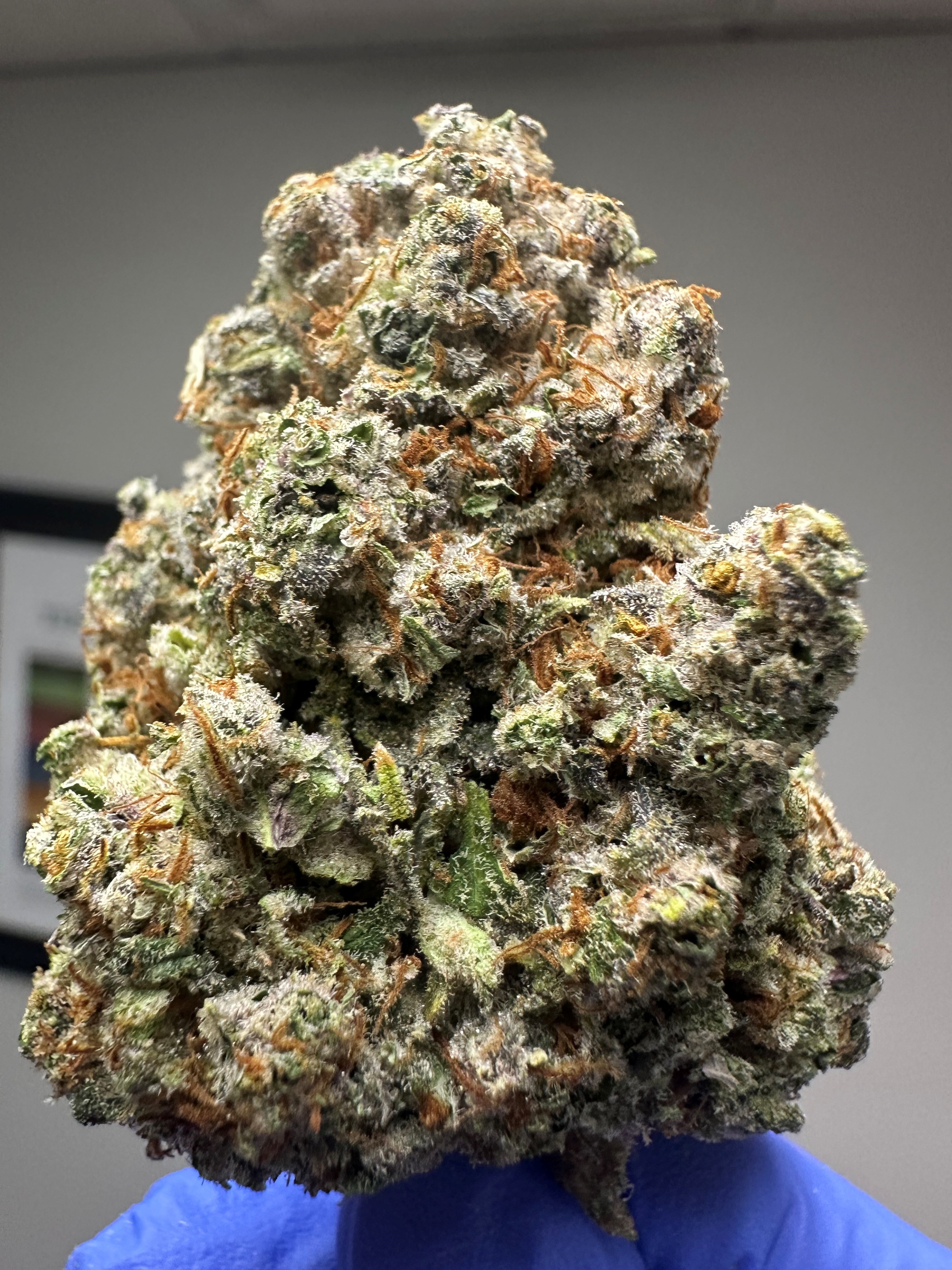 Flower Razzberry Jam