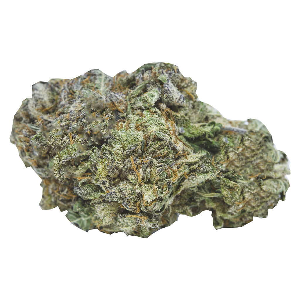 Weed Me - Ontario's Own Sativa - 3.09% TERPS! (GSC x Snow Lotus)