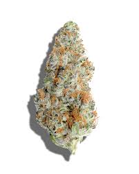 Mind Melt | 3.5g
