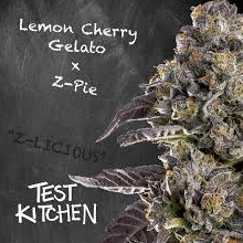 Z Pie x Lemon Cherry Gelato | Flower | 3.