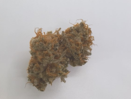 Papaya | Bulk Flower Bottom of Jar