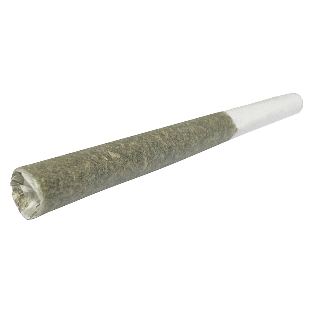 1Spliff - Cannon Pre-Roll (Pink Kush x Cotton Candy) - Hybrid - 1x1g