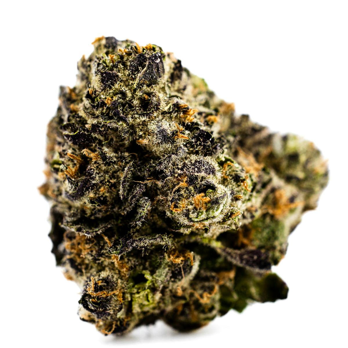 PURPLE PANTY DROPPER