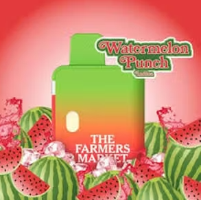 The Farmer's Market - Watermelon Punch - 1g - Disposable Vape