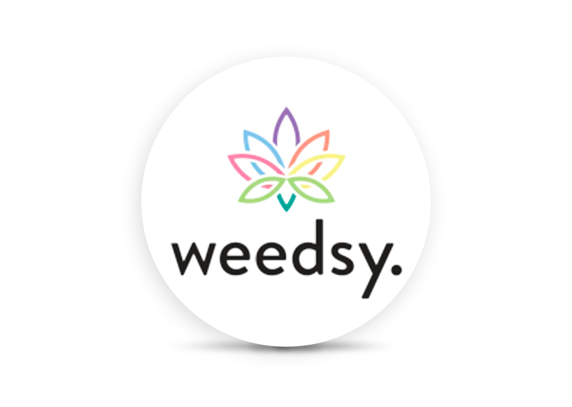 Green Apple [.5g] - Mini Infused Pre Roll