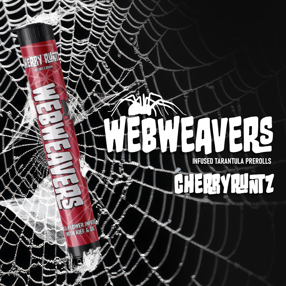 WEBWEAVERS: CHERRY RUNTZ 1G Tarantula