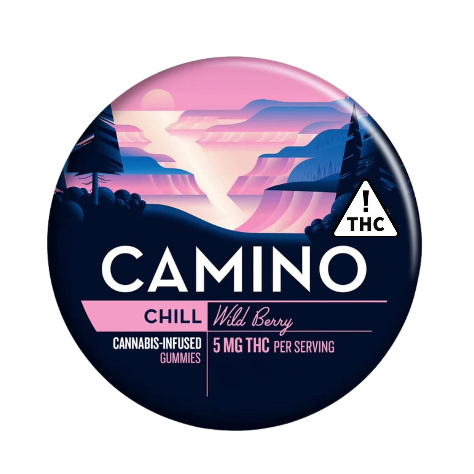 Kiva Camino Wild Berry 100mg Gummy
