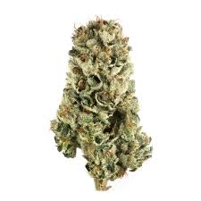 No Bad Days Cherry Pie Flower