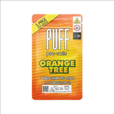 Orange Tree