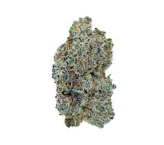 Cookies and Cream Flower - Hybrid - - DD
