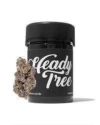Heady Tree - Grape Nerdz - Flower