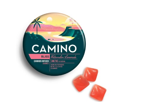 Camino - Watermelon Lemonade Bliss Gummies 20pk - 100mg