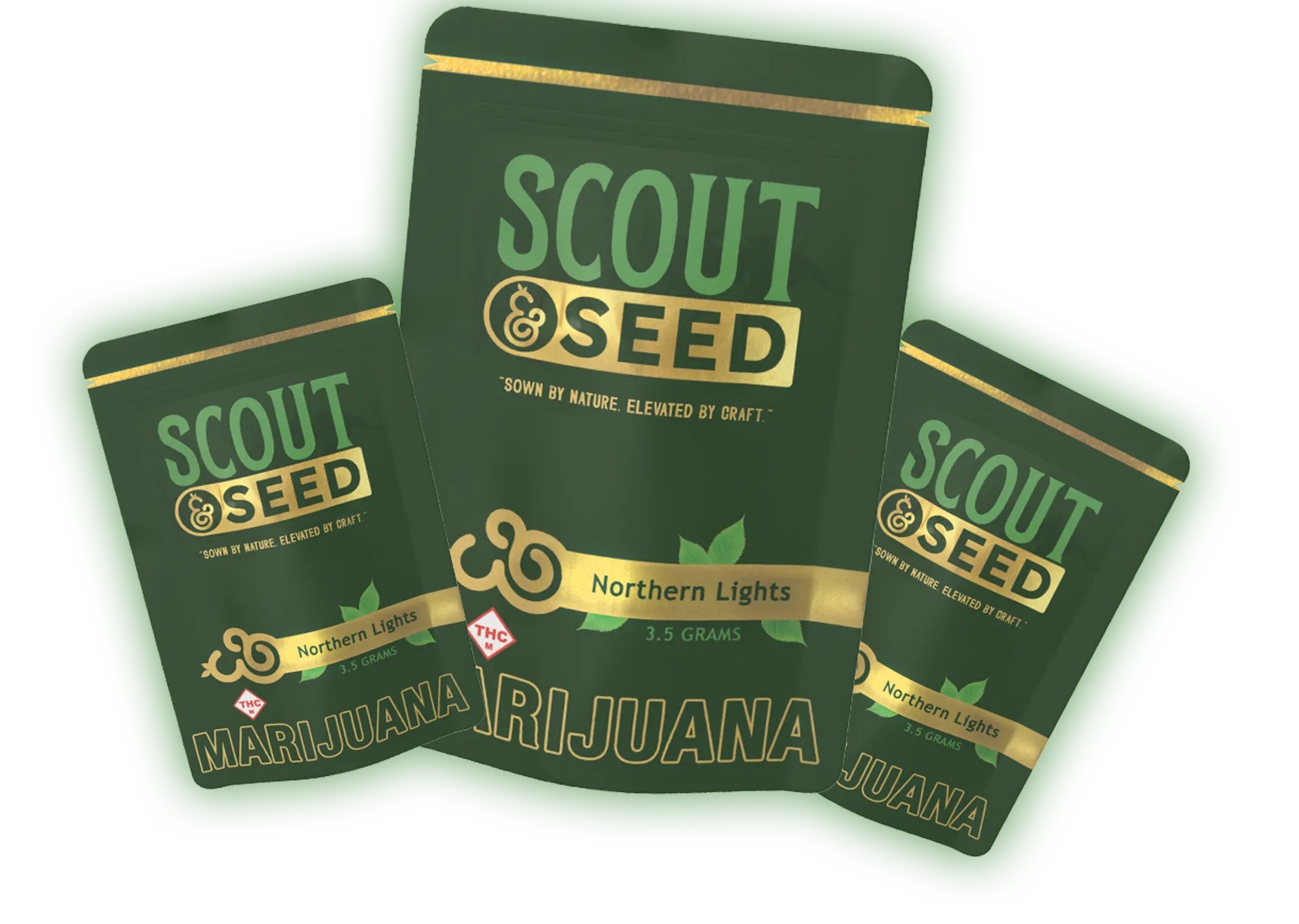 Scout & Seed: Prepacked Flower (Honey Banana x Orange Mintz #2)