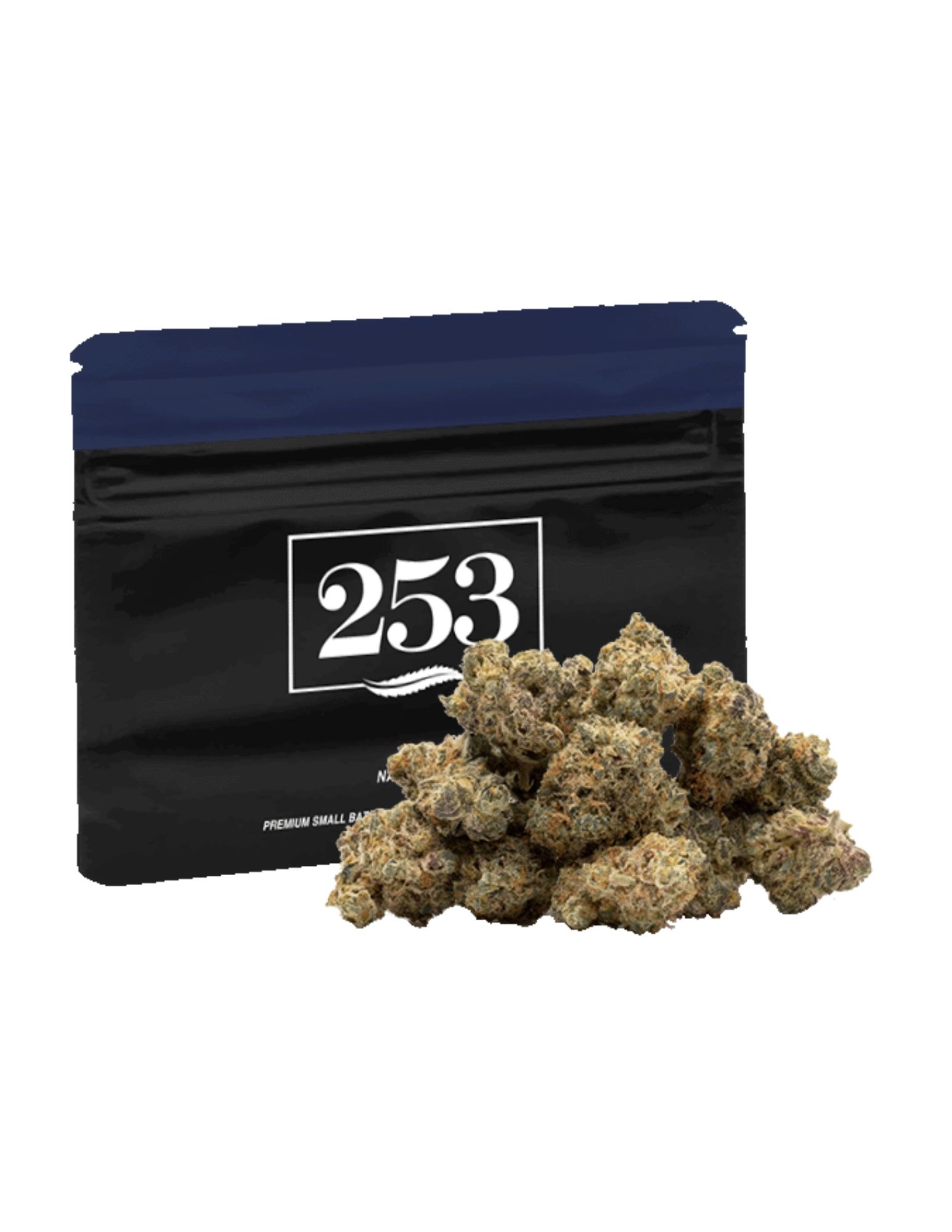 Governmint Oasis Nano Nugs
