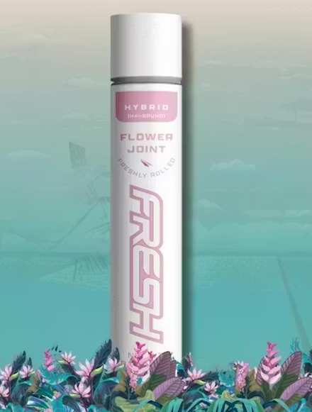 Street Songs | Pre-Roll