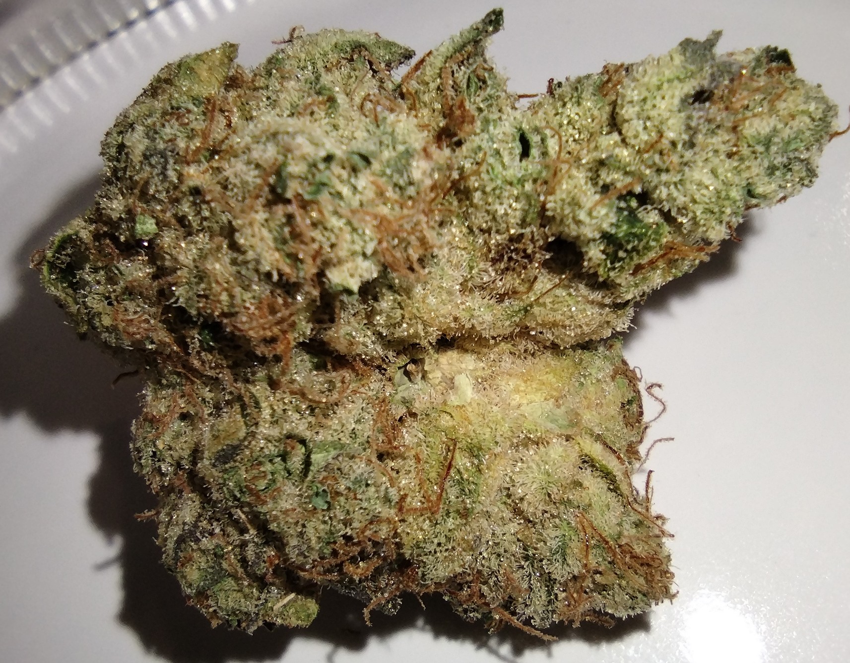 Banana Pancakes - 7g - Flower