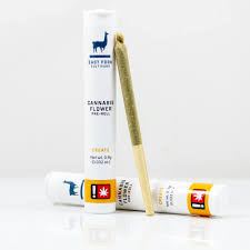 Balance" Pineapple Jager - Preroll - East Fork Cultivars