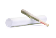 Cherry Jelly Roll Rosin Preroll