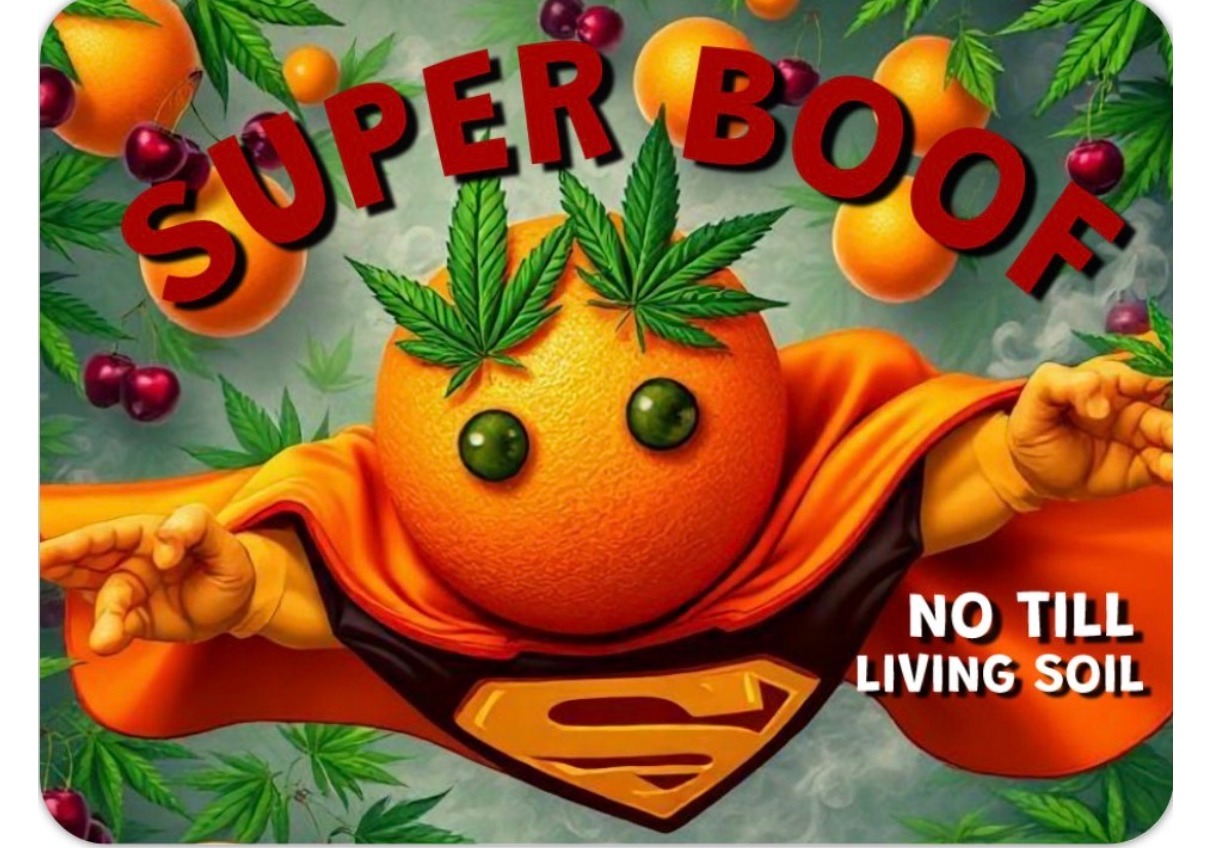Super Boof - Diamond Tier