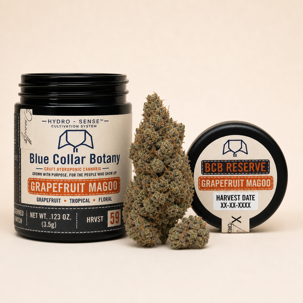 GRAPEFRUIT MAGOO | DAILY DRIVER 5.0g