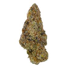 Rotating Strain - Hybrid - - DD