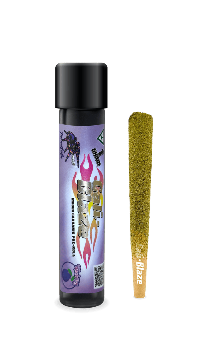 CALI-BLAZE | 1G INFUSED TARANTULA PRE ROLL | BLUEBERRY