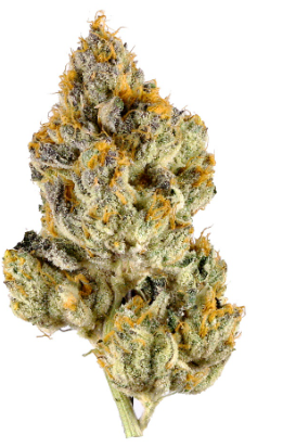 Bread & Butter  5pk 2.