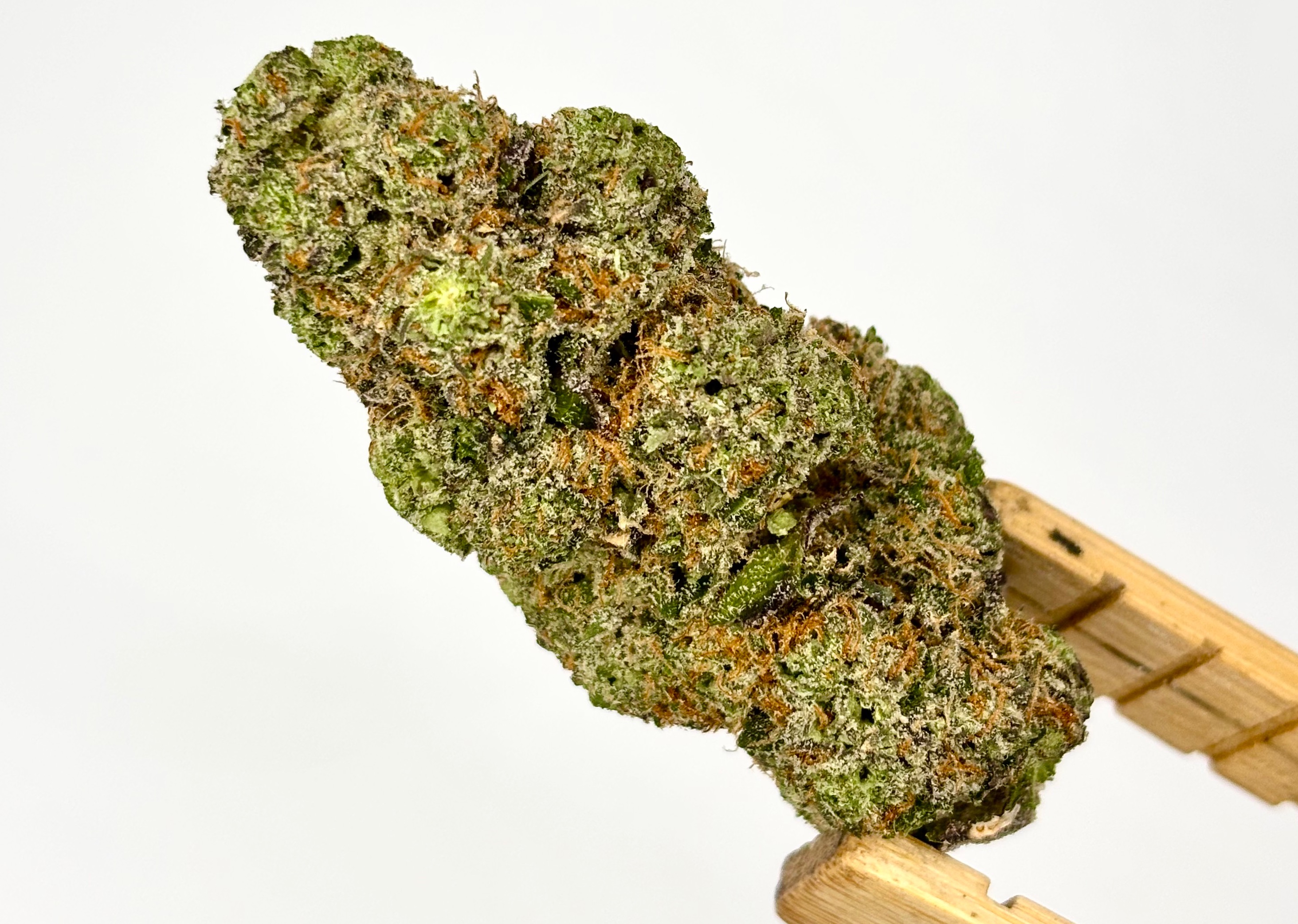 TruSmoke | Bolo Runtz | Bulk Flower