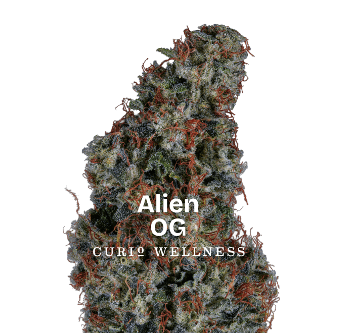 CURIO EXCLUSIVE Alien OG 3.5g