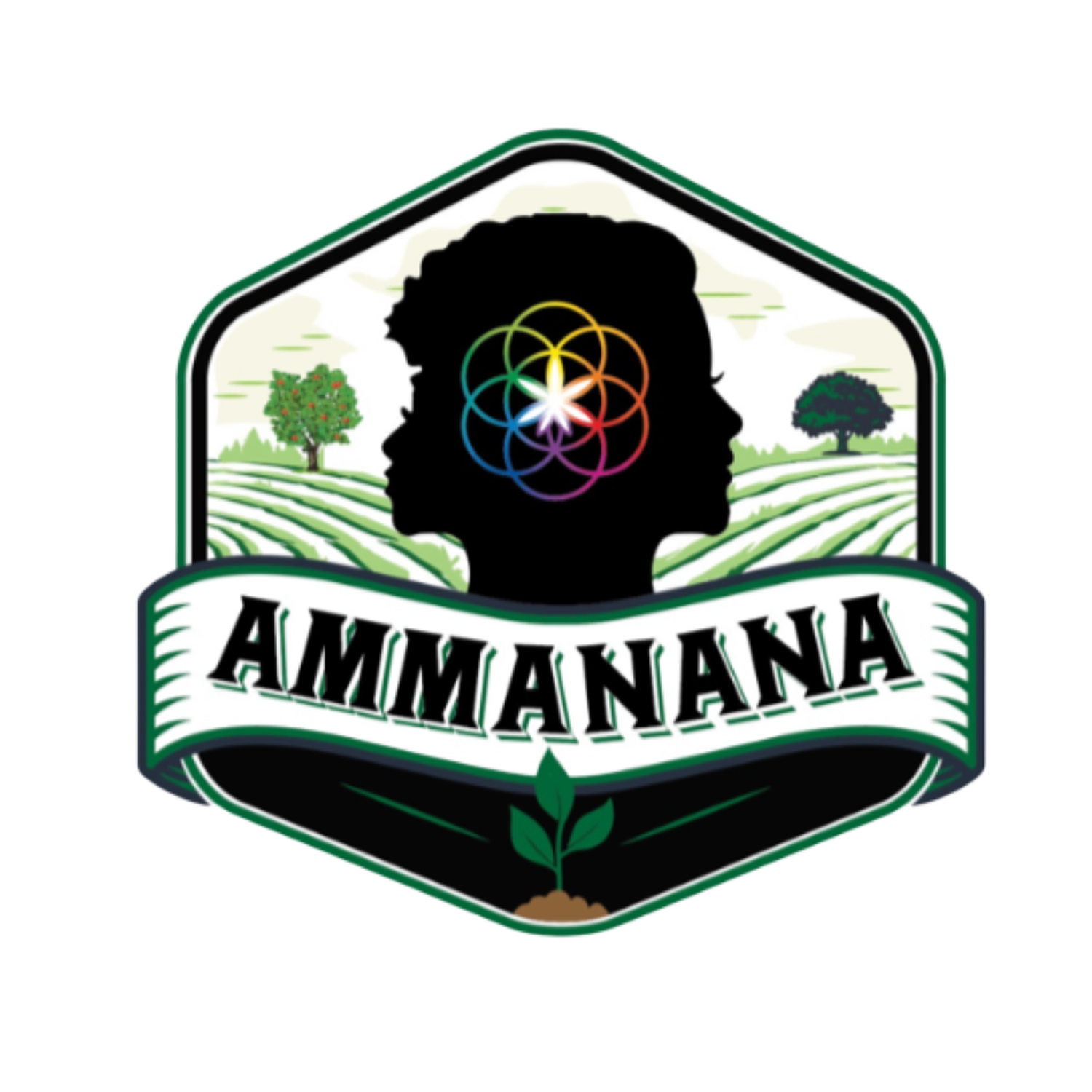 Ammanana