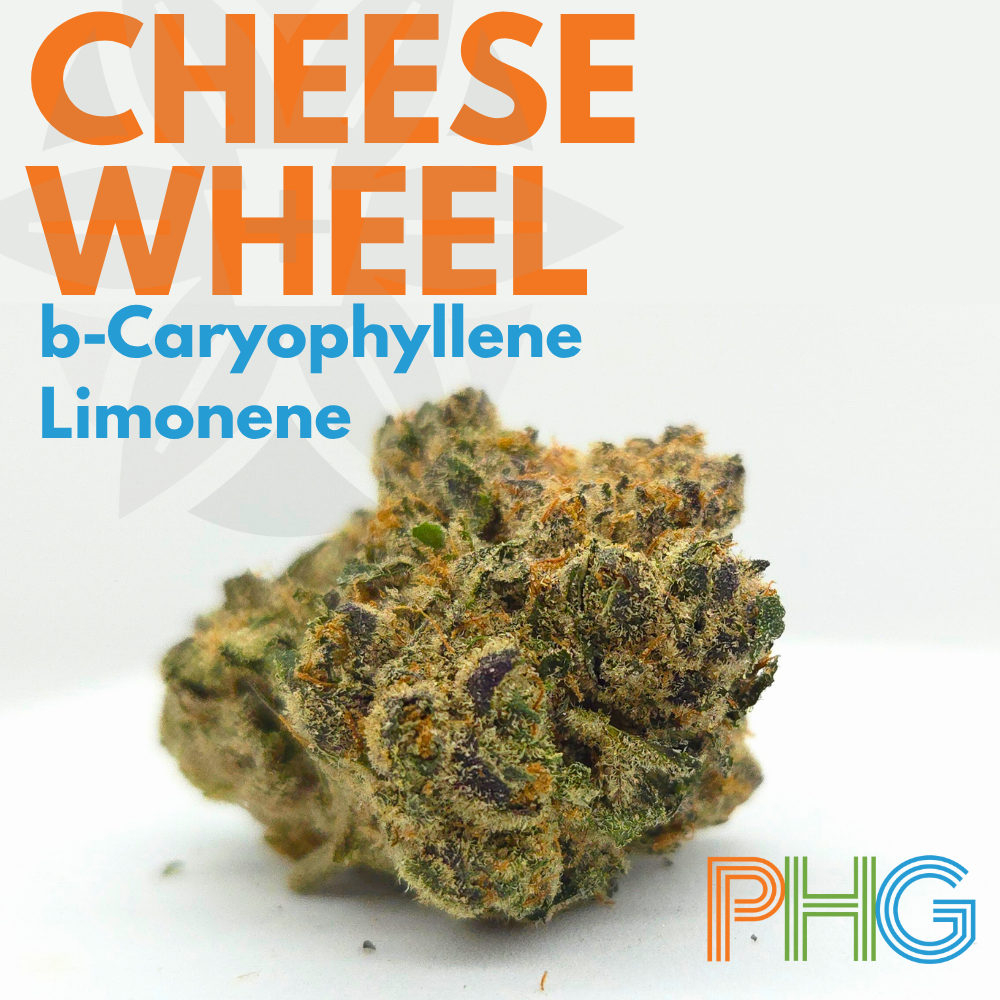 Cheese Wheel  | Premium | 3.5g