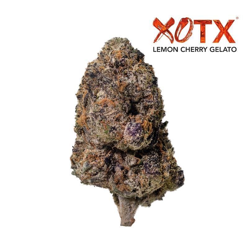 Lemon Cherry Gelato