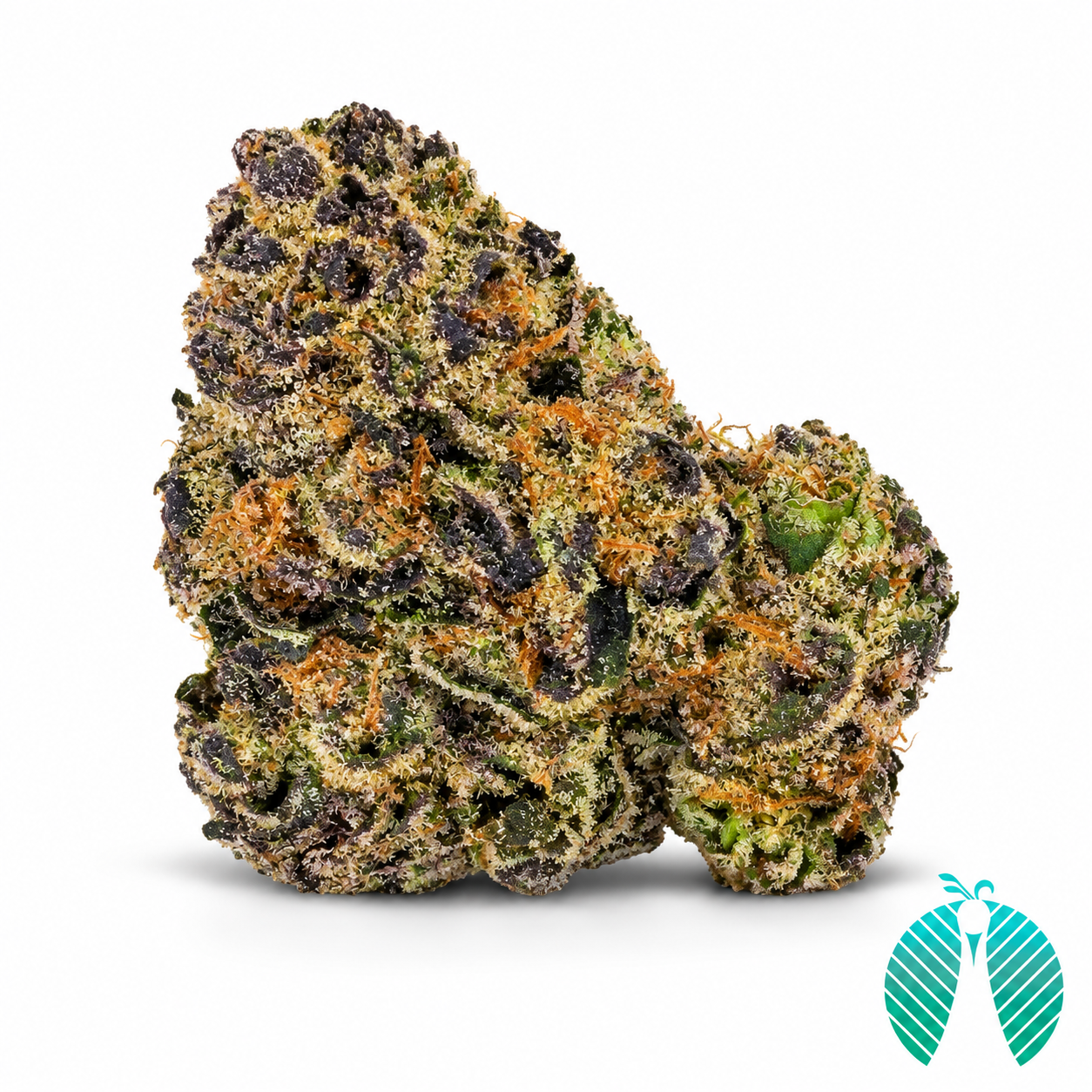 Gsc