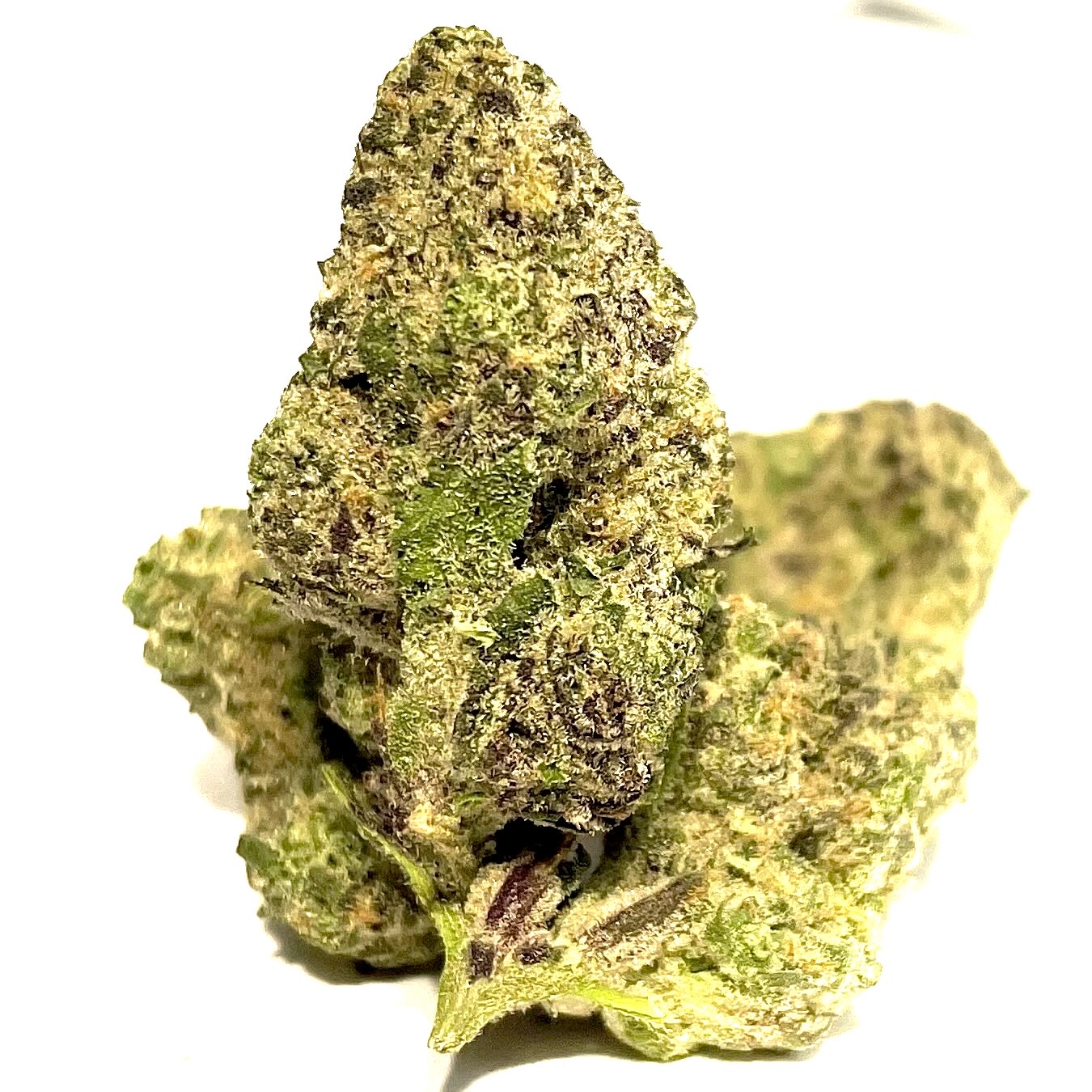 Frosty Fizz White Tier Bulk