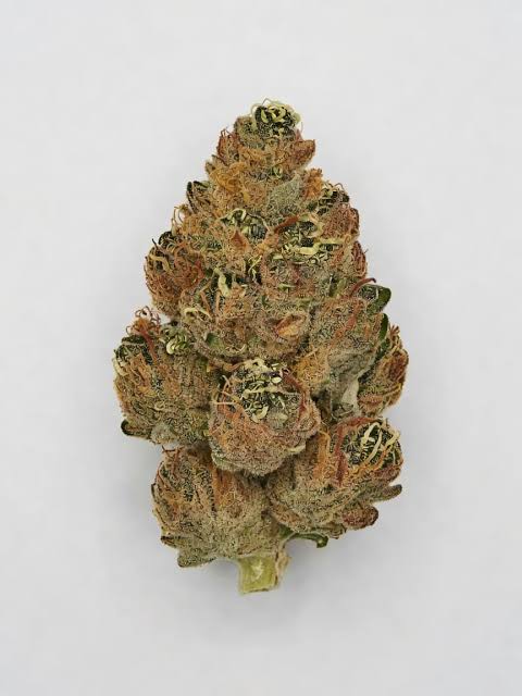 Flower | Caramel Headband | Great Hill Growers - 28g in Johnson