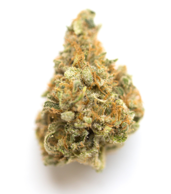 Zips Zips - Miracle Alien Cookies