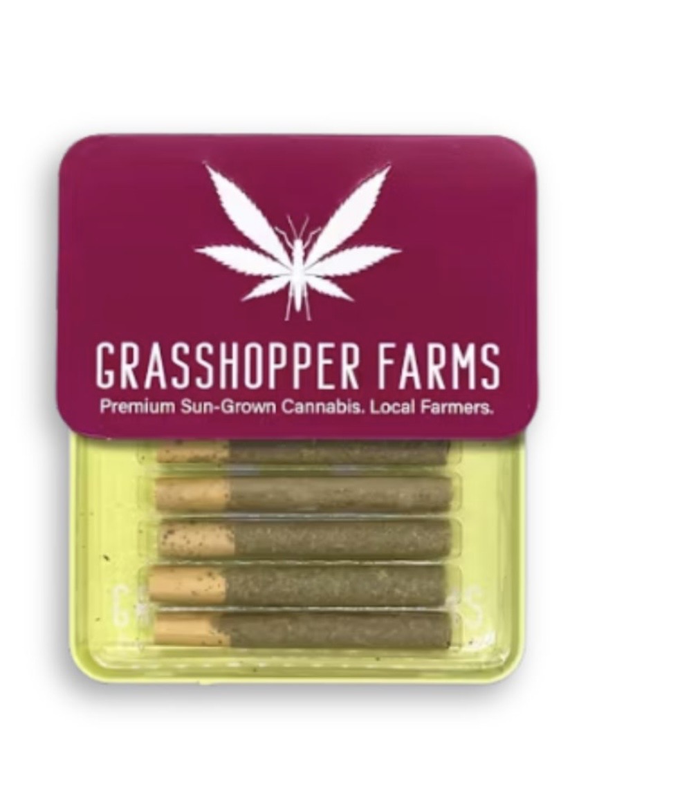 Grasshopper Infused Pre-Rolls 5pk Magic Mango