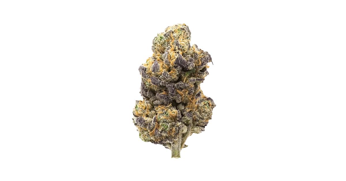 Legacy | Permanent Push Pop | Flower | 3.5g