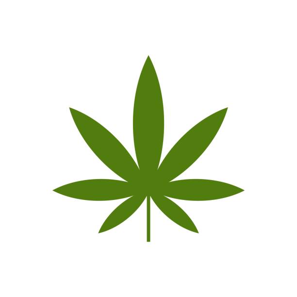 Haze Future