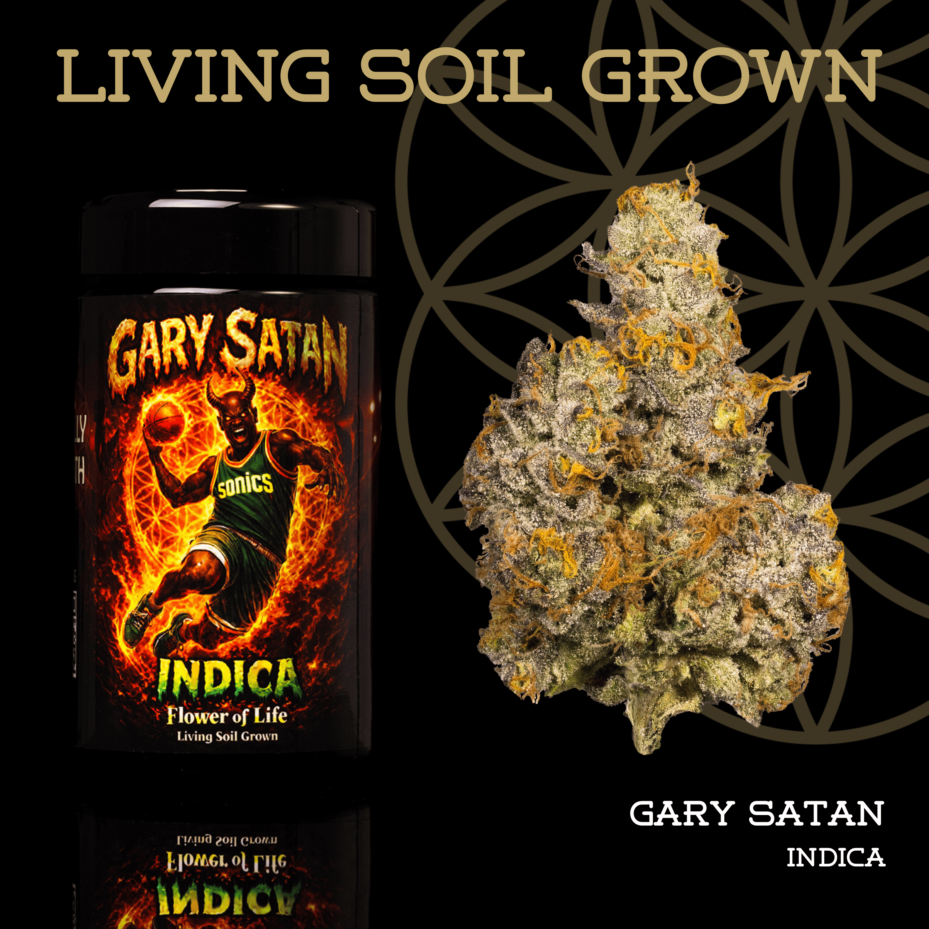 Flower of Life Gary Satan 3.5g