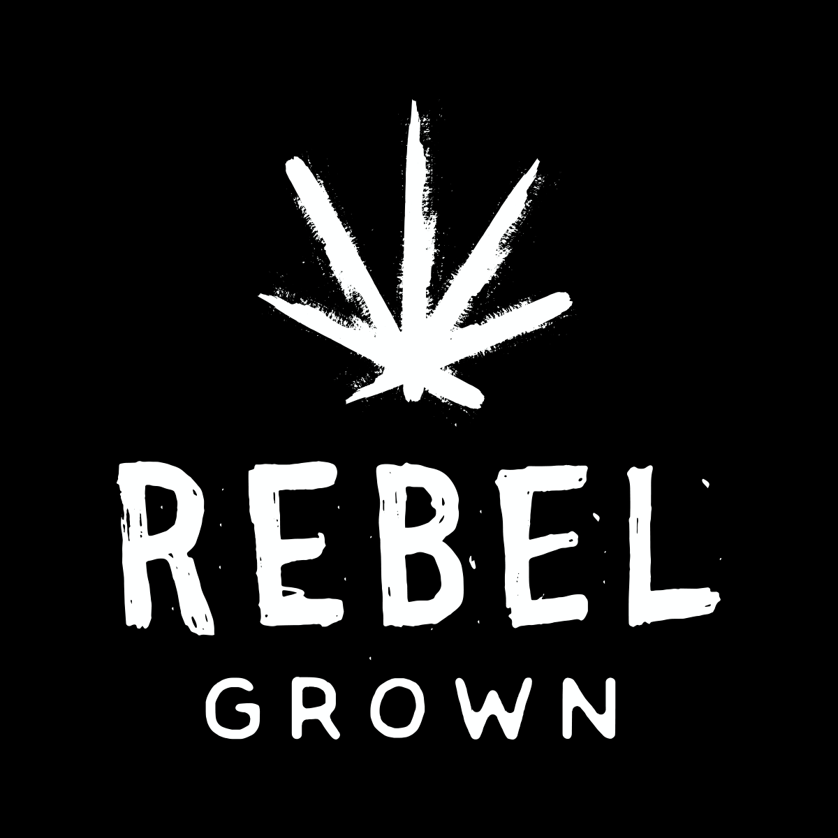 Regular Seeds: Lemon Sugar Kush 12pk