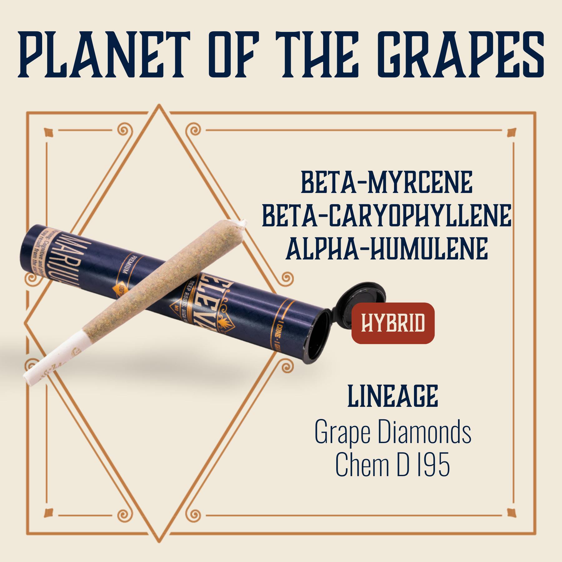 Planet Of The Grapes 1g preroll - Elevate