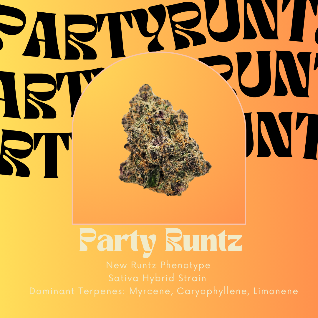 Party Runtz | Shake Oz | The Hive