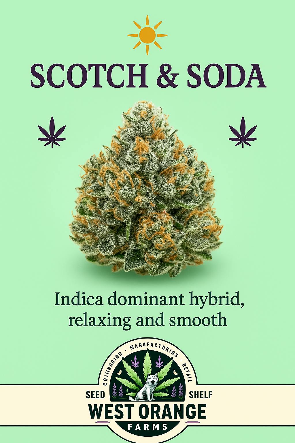 Scotch and Soda Flower