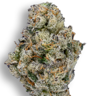 Midnight Fruit Co. | CAPPED OUT