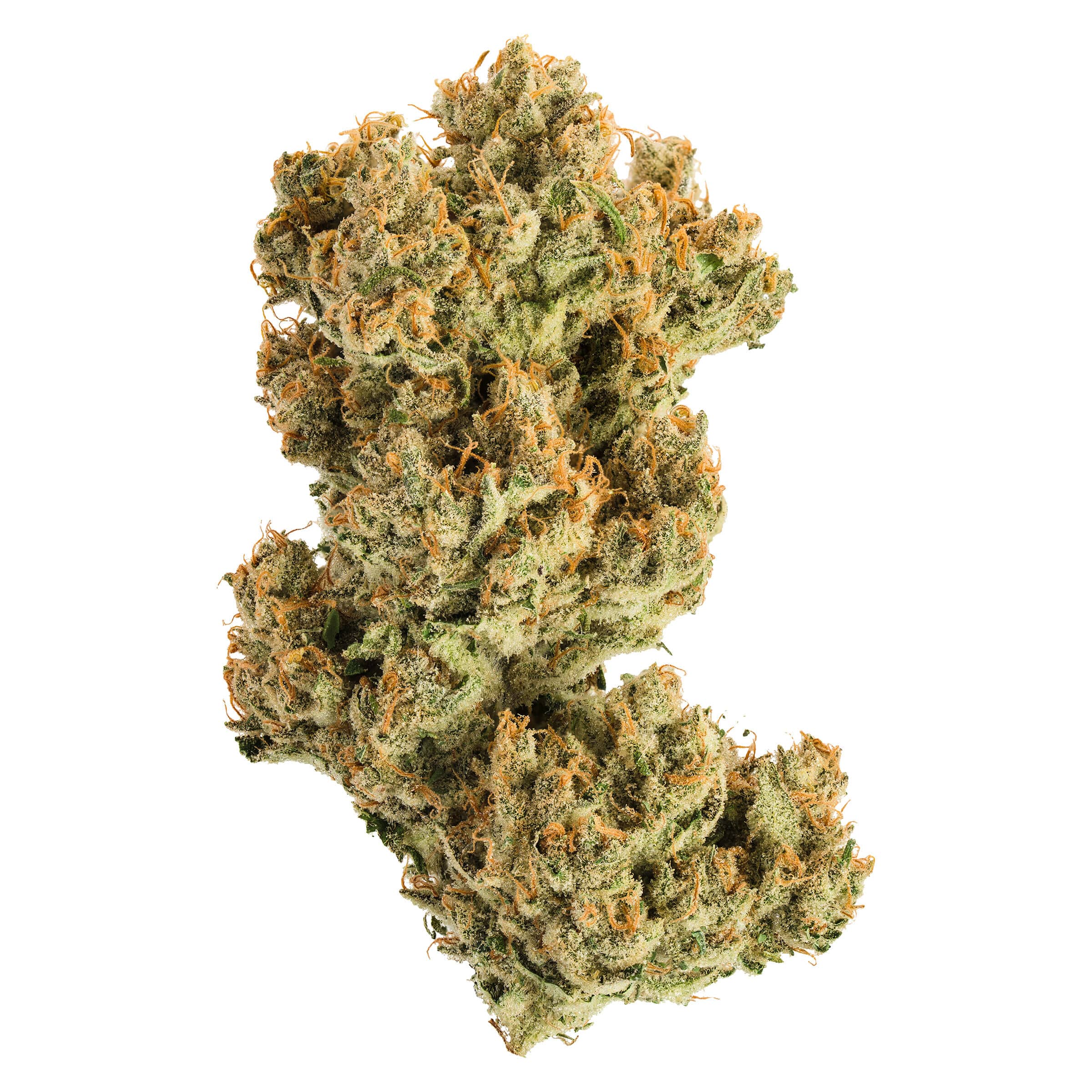 Acapulco Gold (Central American Landrace)